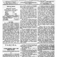 Nógrádi Lapok és Honti Hiradó 8. évfolyam 41. szám (1880. október 10.)